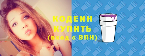 трава Няндома