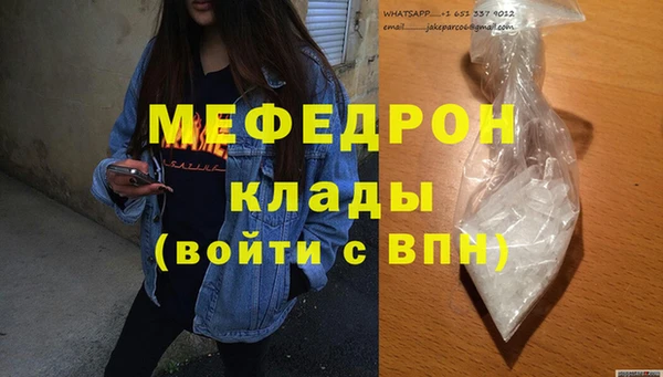 трава Няндома