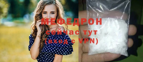 трава Няндома